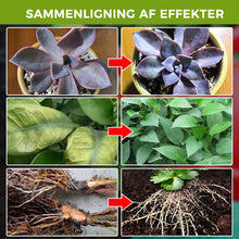 Indlæs billede til gallerivisning Supplement til plantevækstforstærkning