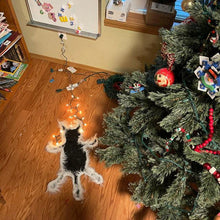 Indlæs billede til gallerivisning Fried Cat Rug