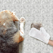 Indlæs billede til gallerivisning Rengørings og afstøvningshandsker