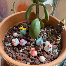 Indlæs billede til gallerivisning Mini-ænder i harpiks