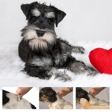 Indlæs billede til gallerivisning Kam til fjernelse af dyrehår