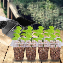 Indlæs billede til gallerivisning Højlågs frøplantekasse med 12 åbninger