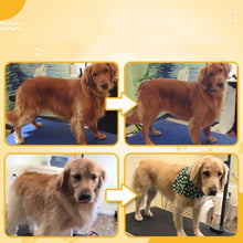 Indlæs billede til gallerivisning Kæledyr Grooming Kam til hunde og katte