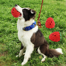 Indlæs billede til gallerivisning Jordbær Tyggelegetøj til Hund
