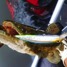 Indlæs billede til gallerivisning Fishing lures