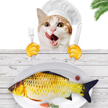 IndlĂŠs billede til gallerivisning katteurt fisk legetĂžj