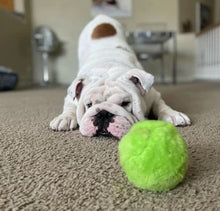 Indlæs billede til gallerivisning Elektrisk plysforet legetøjsbold til kæledyr