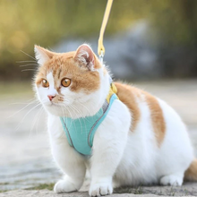 Indlæs billede til gallerivisning Cat Vest Harness and Leash Set