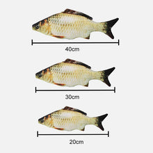 IndlĂŠs billede til gallerivisning katteurt fisk legetĂžj