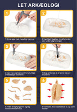 Indlæs billede til gallerivisning Legetøjssæt til udgravning af fossiler fra dinosaurer