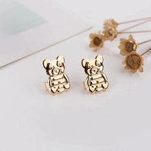 Indlæs billede til gallerivisning Støttebeslag til øreringe