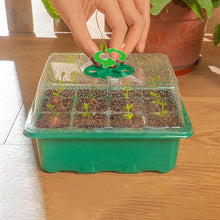 Indlæs billede til gallerivisning Højlågs frøplantekasse med 12 åbninger