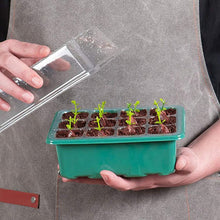 Indlæs billede til gallerivisning Højlågs frøplantekasse med 12 åbninger