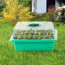 Indlæs billede til gallerivisning Højlågs frøplantekasse med 12 åbninger