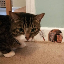 Indlæs billede til gallerivisning Realistiske 3D Musehul vægklistermærker