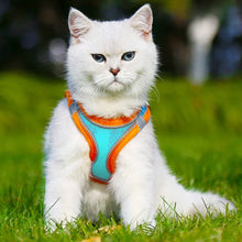 Indlæs billede til gallerivisning Pet Chest Harness

