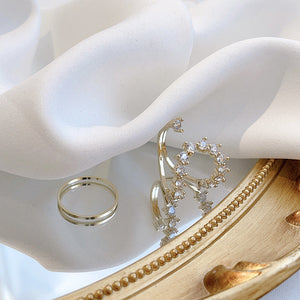 Justerbar skinnende ring