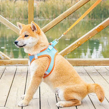 Indlæs billede til gallerivisning Pet Chest Harness
