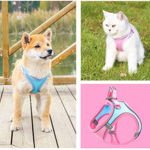 Indlæs billede til gallerivisning Pet Chest Harness
