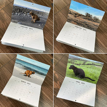 Indlæs billede til gallerivisning Pooping Pooches Dog Calendar
