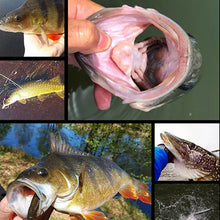 Indlæs billede til gallerivisning Fishing lures
