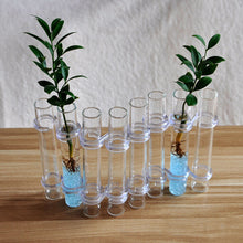 Indlæs billede til gallerivisning Hinged Flower Vase(6 pcs/8 pcs)
