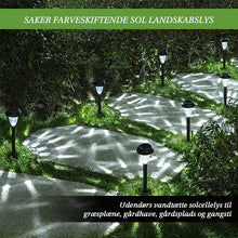 Indlæs billede til gallerivisning Saker Color-Changing Solar Landscape Lights (2PCS)
