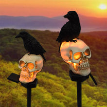 Indlæs billede til gallerivisning Solcelledrevne Kranie &amp; krage Dekorative Halloweenlys
