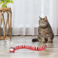 Indlæs billede til gallerivisning Elektrisk sensing Tricky Snake legetøj
