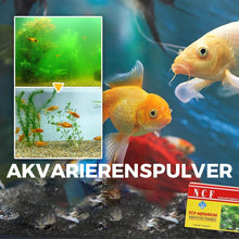 Indlæs billede til gallerivisning Akvarie rensende pulver
