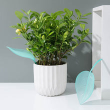 Indlæs billede til gallerivisning Funny Watering Leaves (6pcs)
