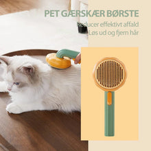 Indlæs billede til gallerivisning Græskar Pet Kæmning Børste
