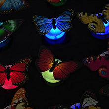 Indlæs billede til gallerivisning 3D LED sommerfugledekorations natlampe
