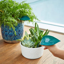 Indlæs billede til gallerivisning Funny Watering Leaves (6pcs)
