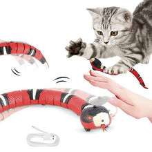 Indlæs billede til gallerivisning Elektrisk sensing Tricky Snake legetøj
