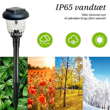 Indlæs billede til gallerivisning Saker Color-Changing Solar Landscape Lights (2PCS)
