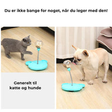 Indlæs billede til gallerivisning Utætte godbidder Boldfodringslegetøj til kæledyr
