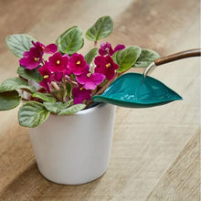 Indlæs billede til gallerivisning Funny Watering Leaves (6pcs)
