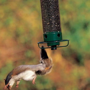 Egernafvisende fuglefodringshus