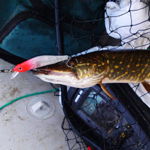 Fishing lures