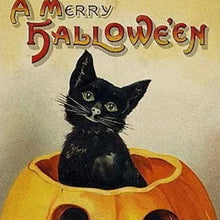 Indlæs billede til gallerivisning Vintage Halloween postkortsæt (24 stk)
