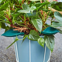 Indlæs billede til gallerivisning Funny Watering Leaves (6pcs)
