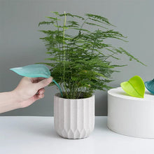 Indlæs billede til gallerivisning Funny Watering Leaves (6pcs)
