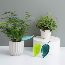 Indlæs billede til gallerivisning Funny Watering Leaves (6pcs)
