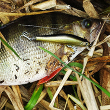 Indlæs billede til gallerivisning Fishing lures
