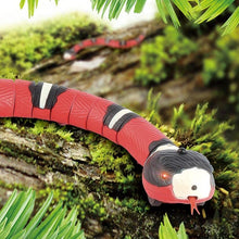 Indlæs billede til gallerivisning Elektrisk sensing Tricky Snake legetøj
