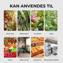 Indlæs billede til gallerivisning Hængende miljøvenlige klæbefælder til bananfluer
