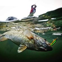 Indlæs billede til gallerivisning Fishing lures
