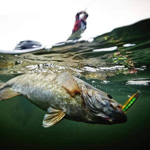 Fishing lures