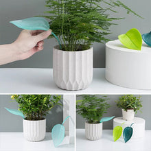Indlæs billede til gallerivisning Funny Watering Leaves (6pcs)
